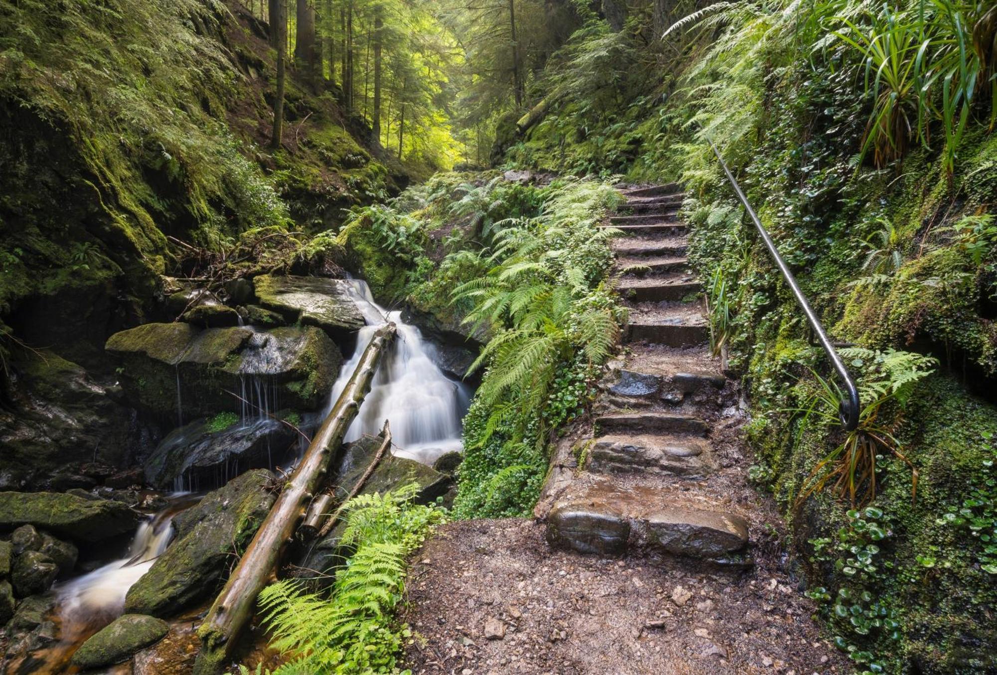 18 Lamont Lodges Dunoon Zewnętrze zdjęcie